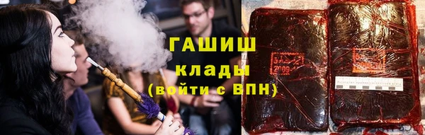 прущие грибы Наволоки