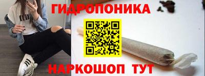 мяу мяу мука Гусев