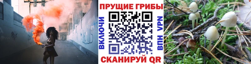 Псилоцибиновые грибы ЛСД  Калач-на-Дону 