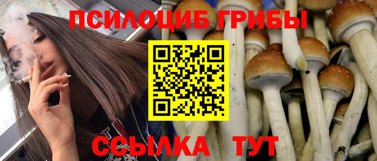 Галлюциногенные грибы MAGIC MUSHROOMS  Галлюциногенные грибы Psilocybe  Калач-на-Дону 