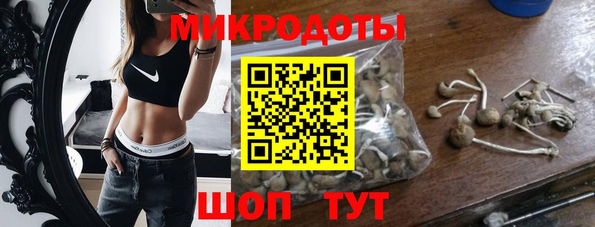 купить наркотик  Псилоцибиновые грибы прущие грибы  Вход с VPN  Калач-на-Дону 